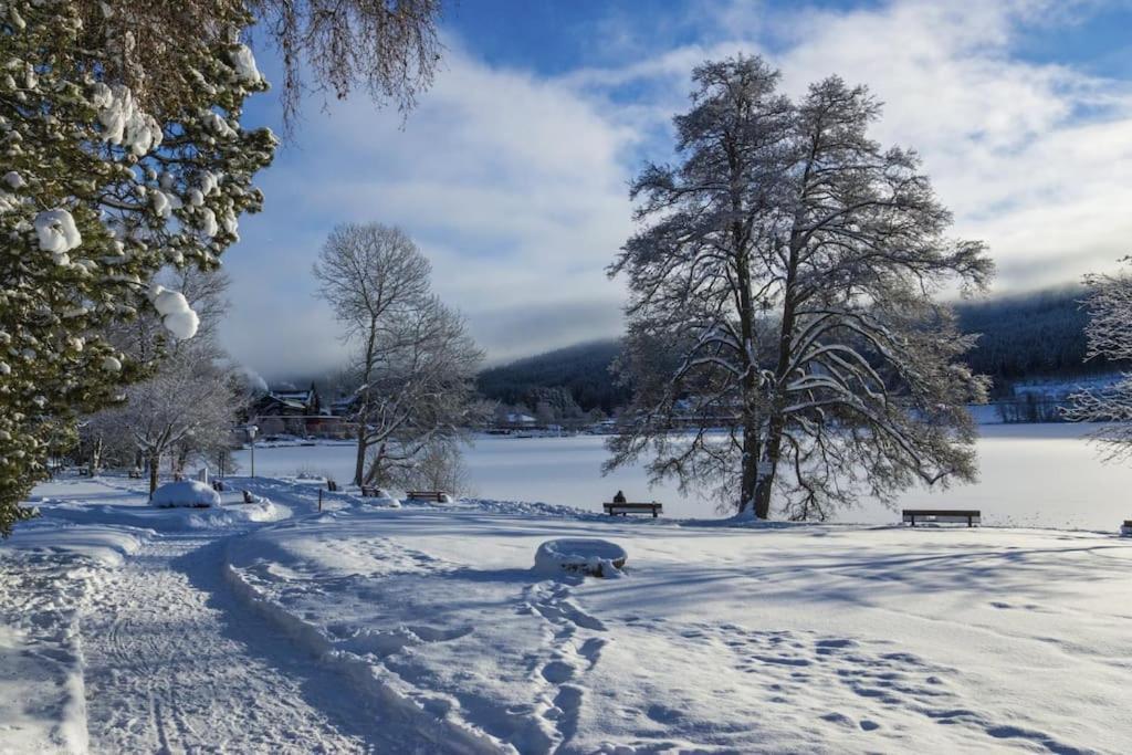 Waldblick Titisee 外观 照片