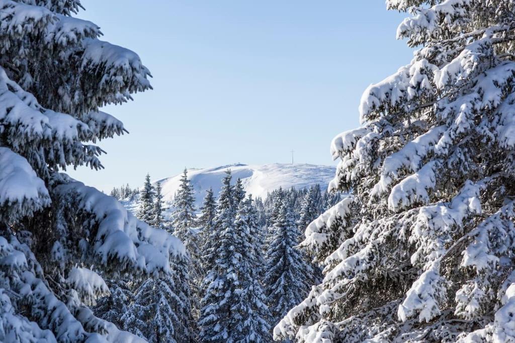 Waldblick Titisee 外观 照片
