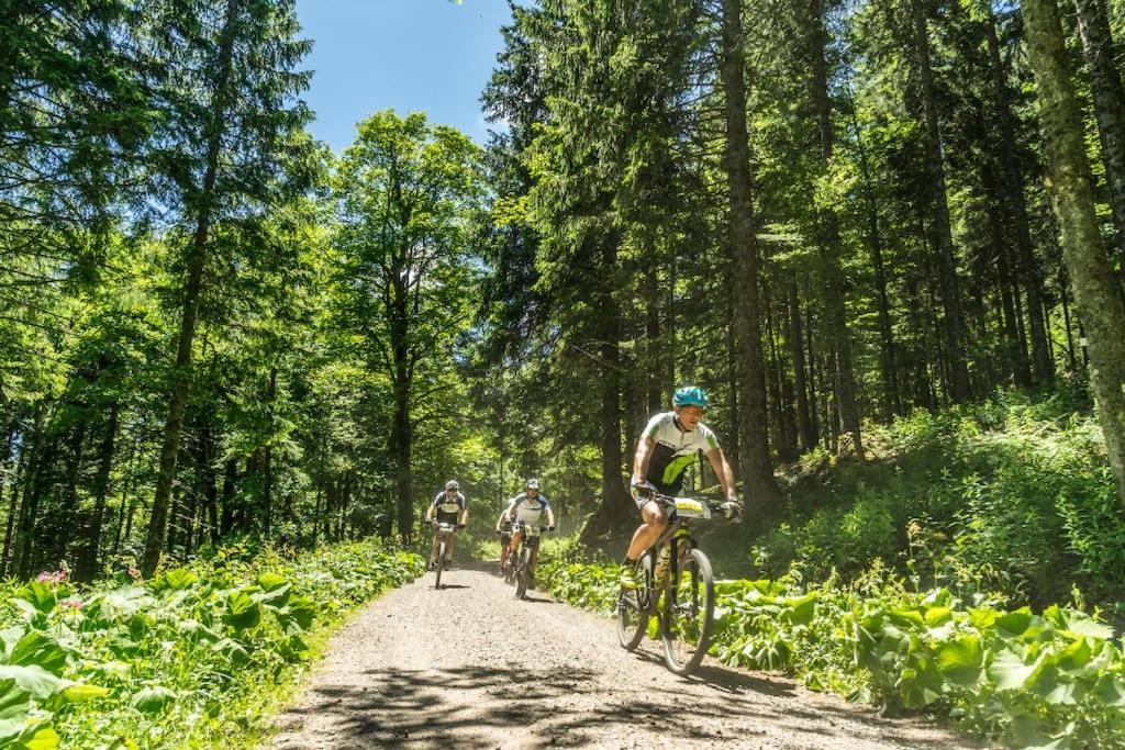 Waldblick Titisee 外观 照片